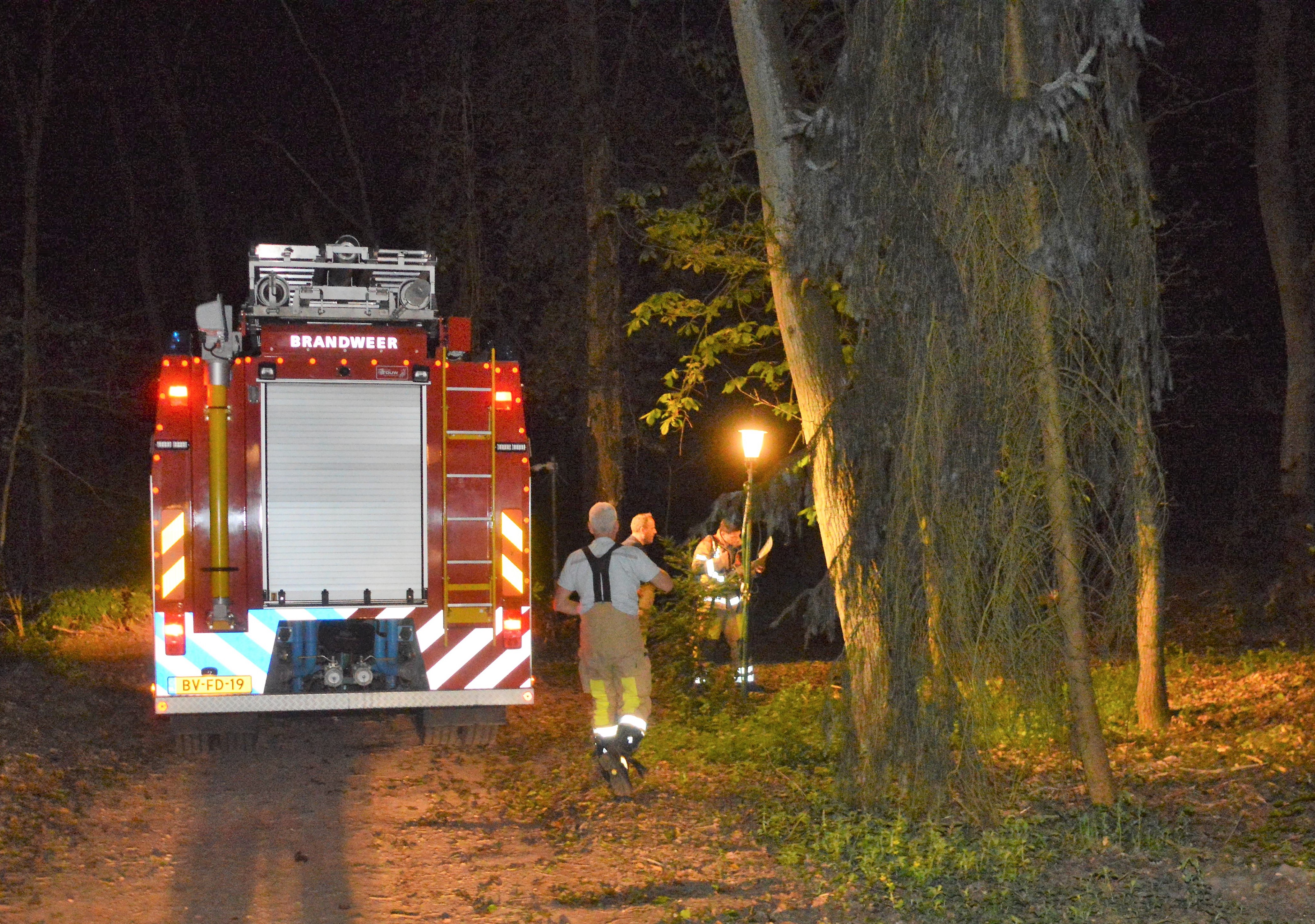 Natuurbrand is kampvuur en barbecue