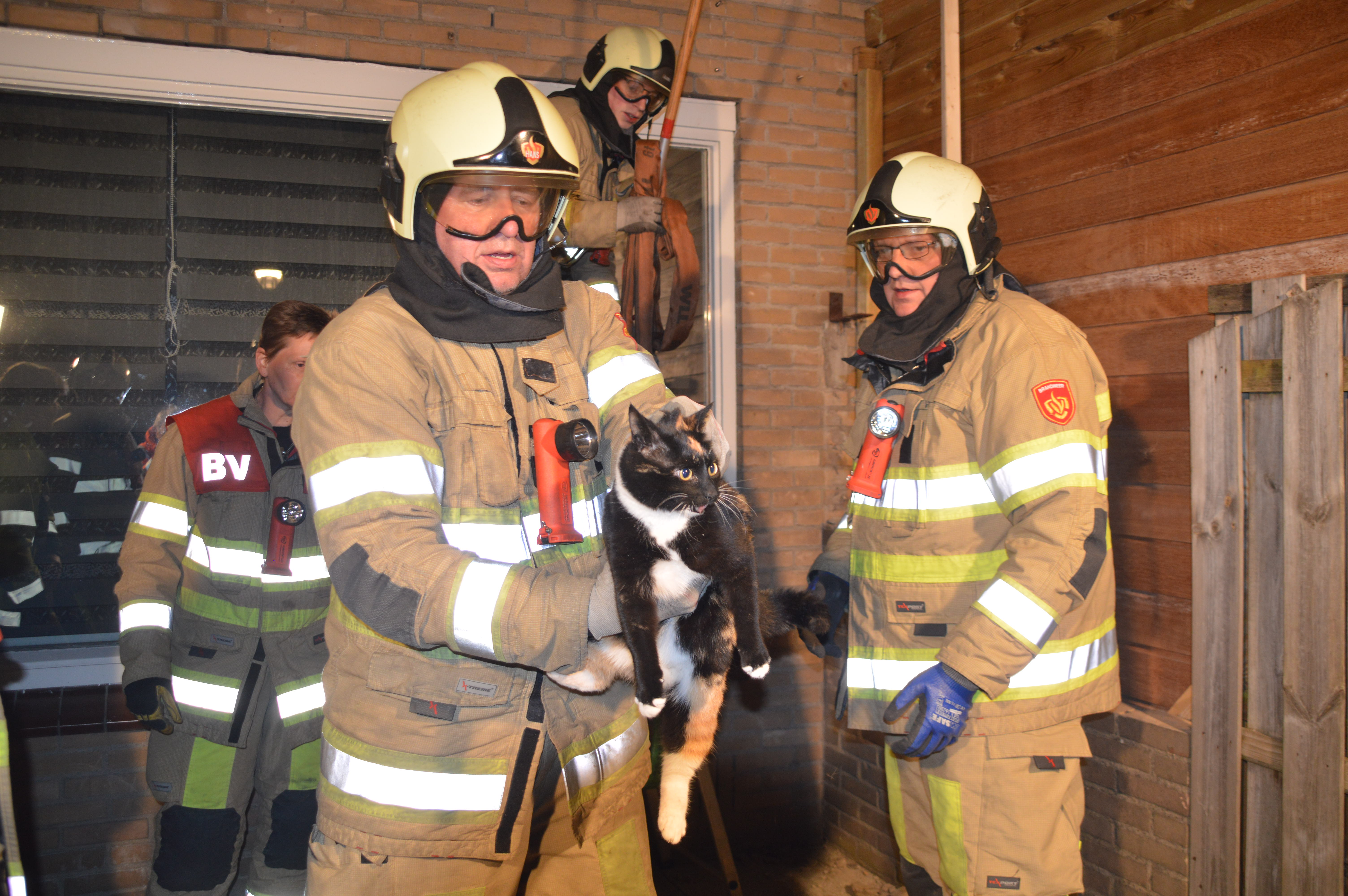 Brandweer sloopt muurtje om poes te bevrijden