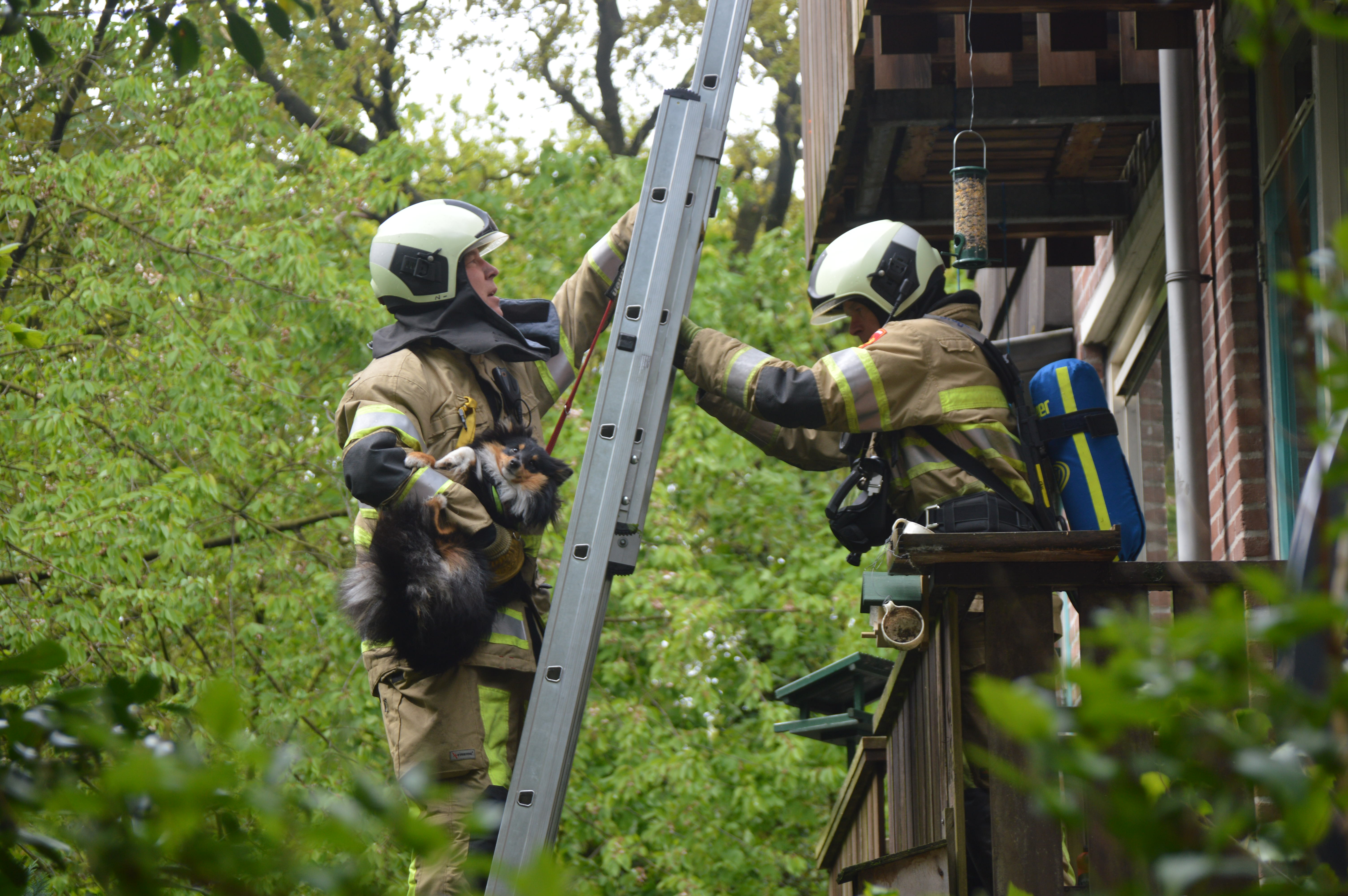 Brandweer redt mens en dier bij derde brand in De Gouden Ploeg