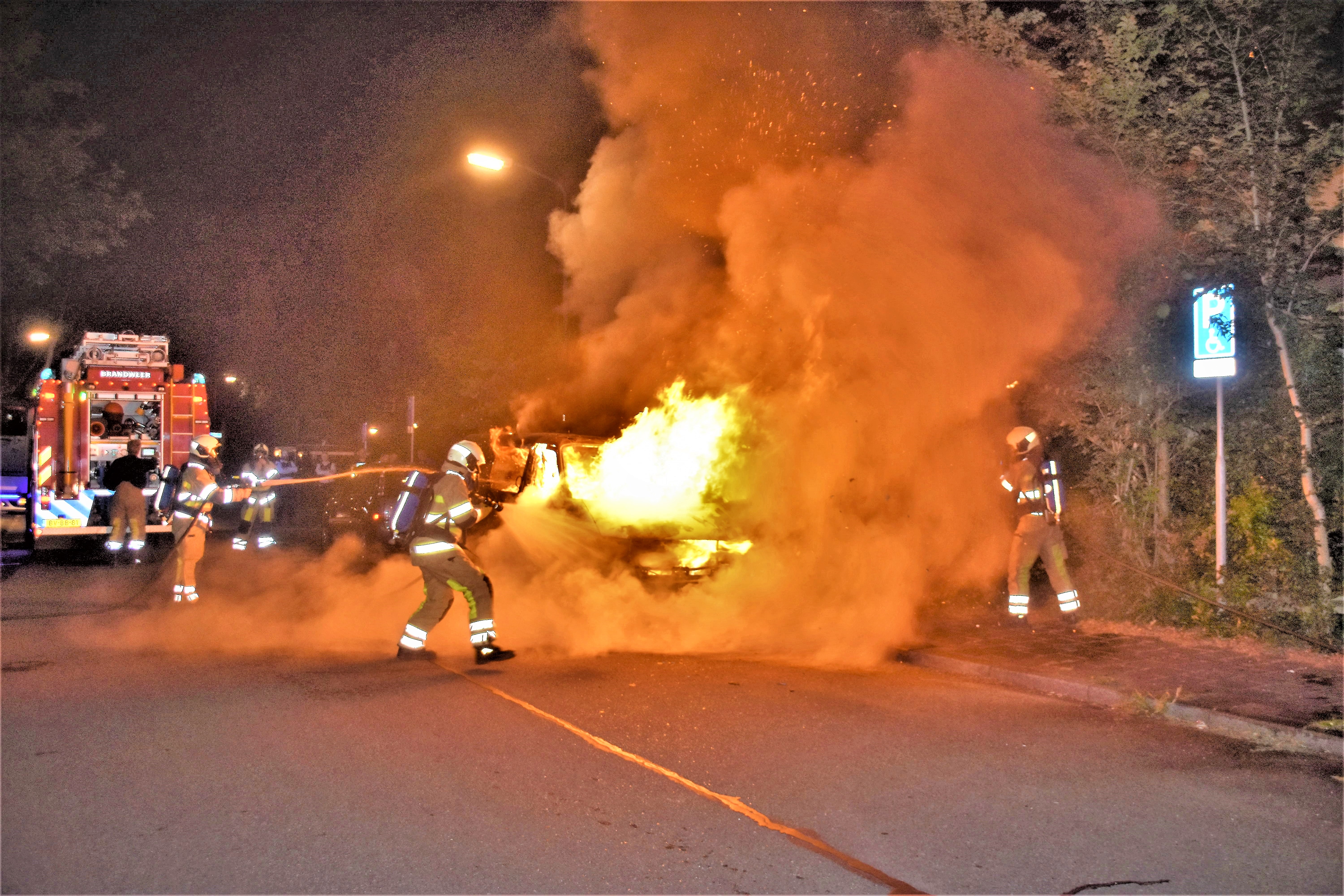 Auto met hondenkennel door brand verwoest