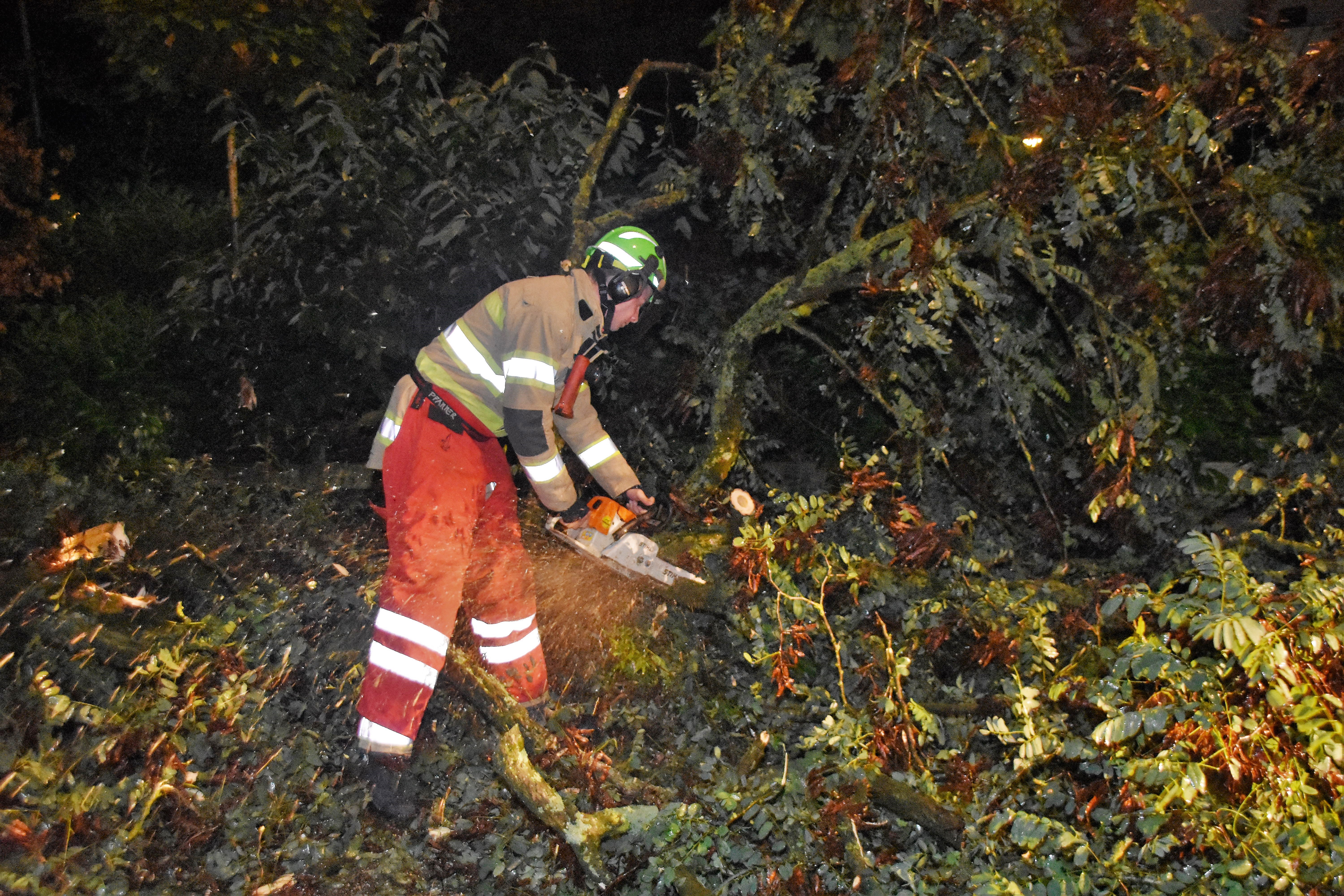 Bomen en takken dupe van windvlaag
