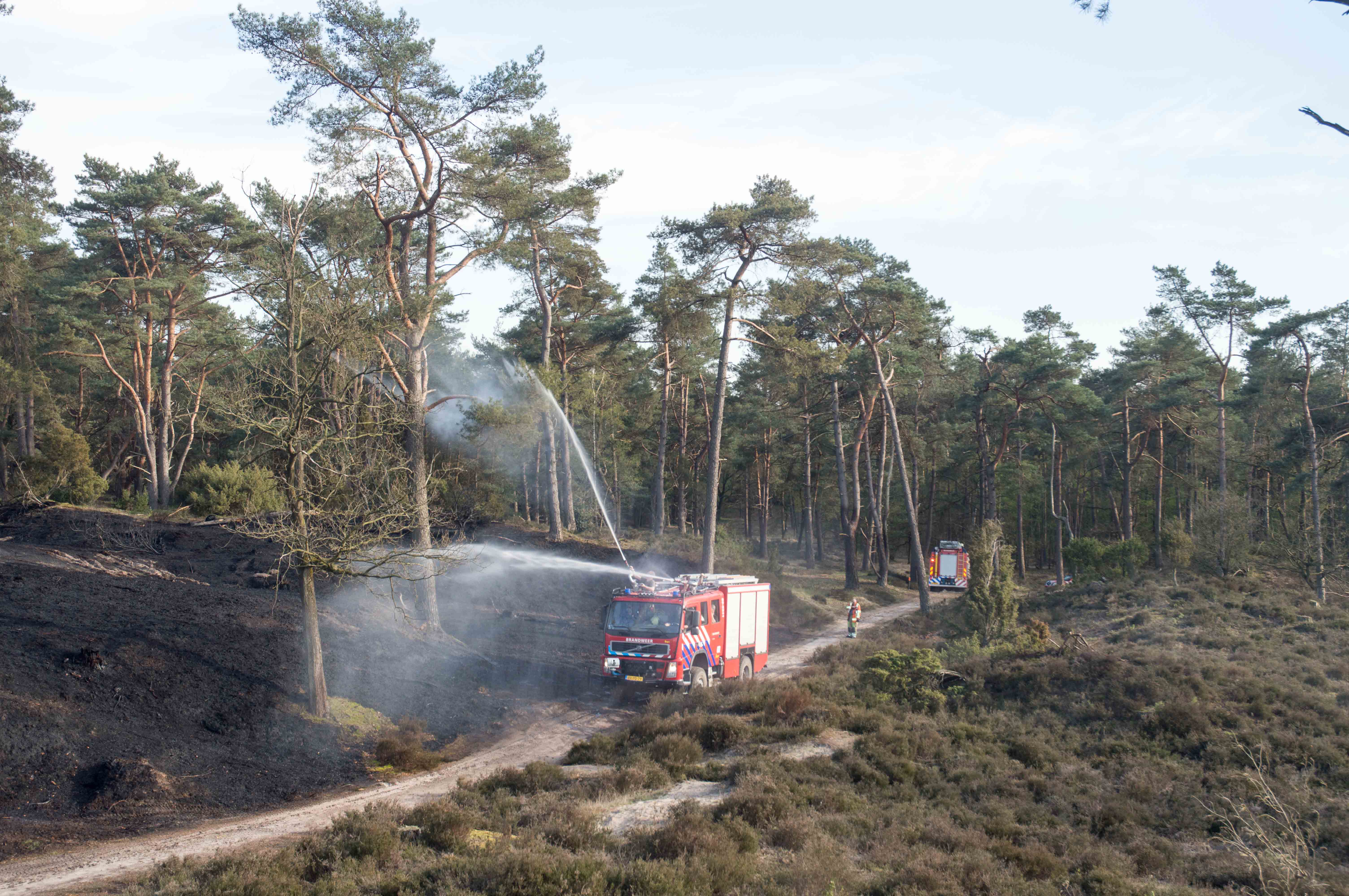 Grote natuurbrand in de Korte Duinen