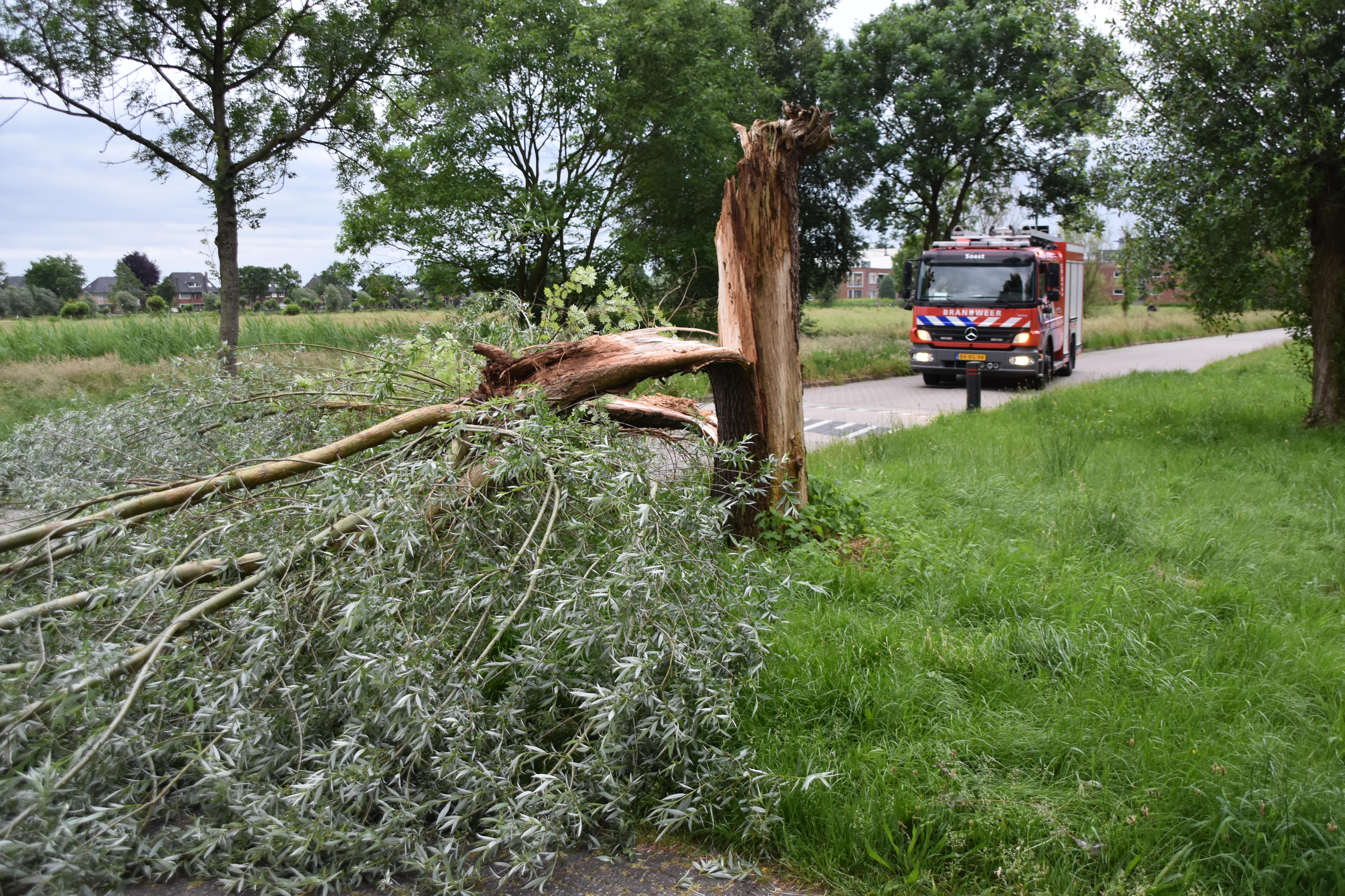 Boom dwars op de weg