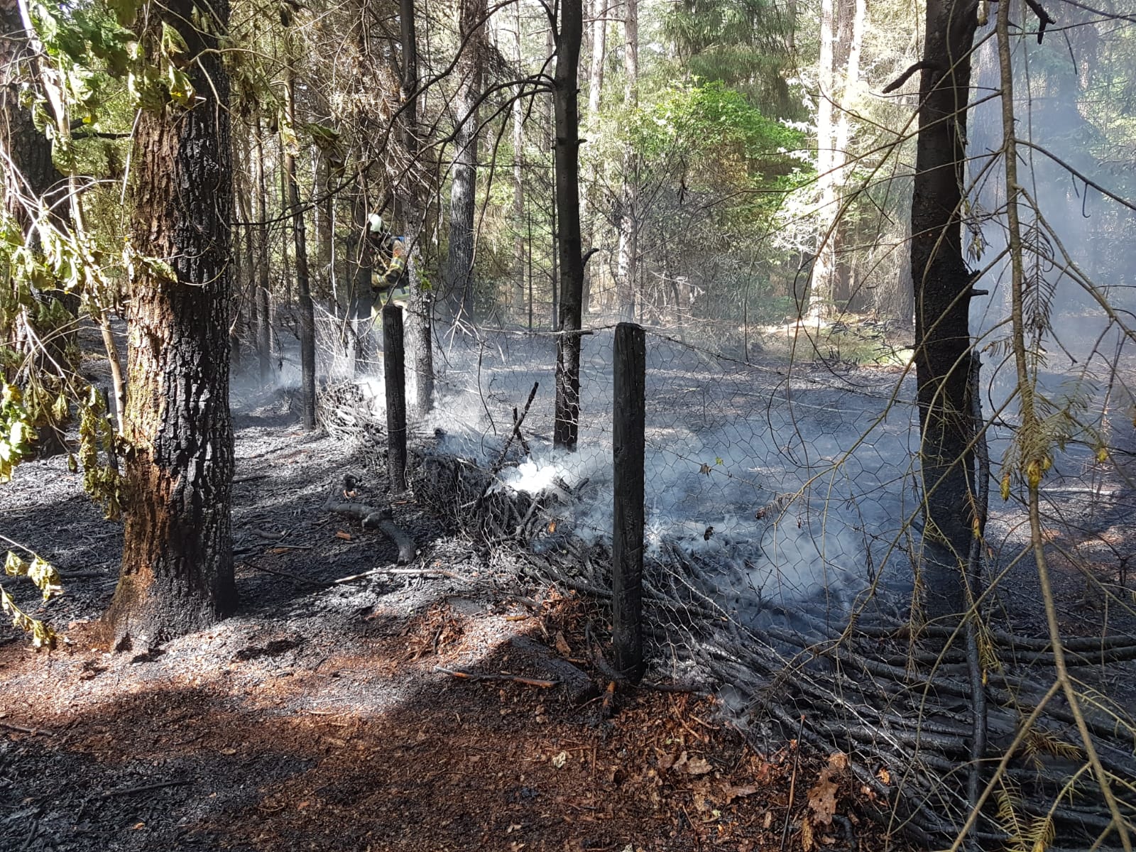 Bosbrand bij naturistencamping