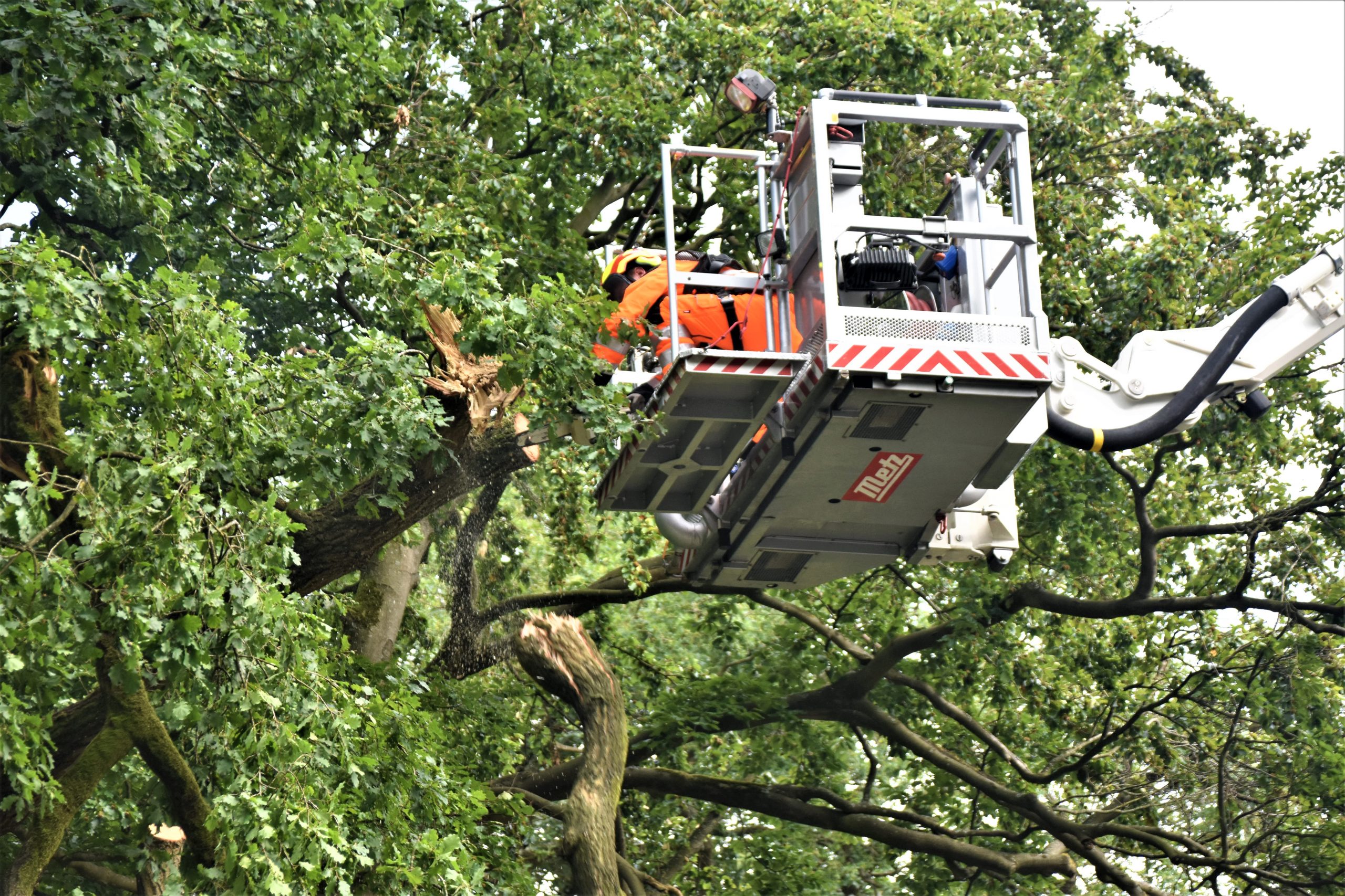 Droogte speelt boomtakken parten