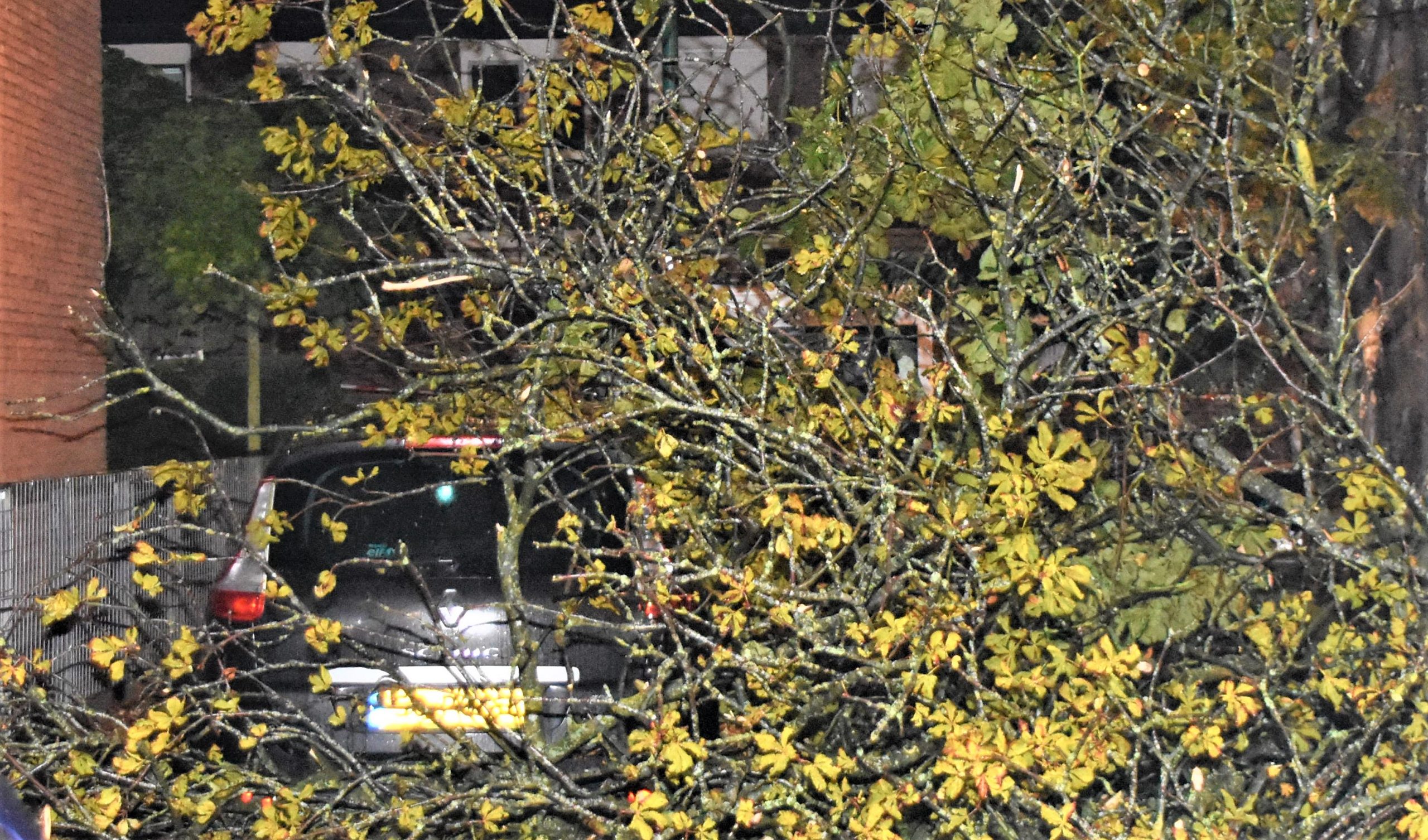 Auto en lichtmast beschadigd door vallende takken