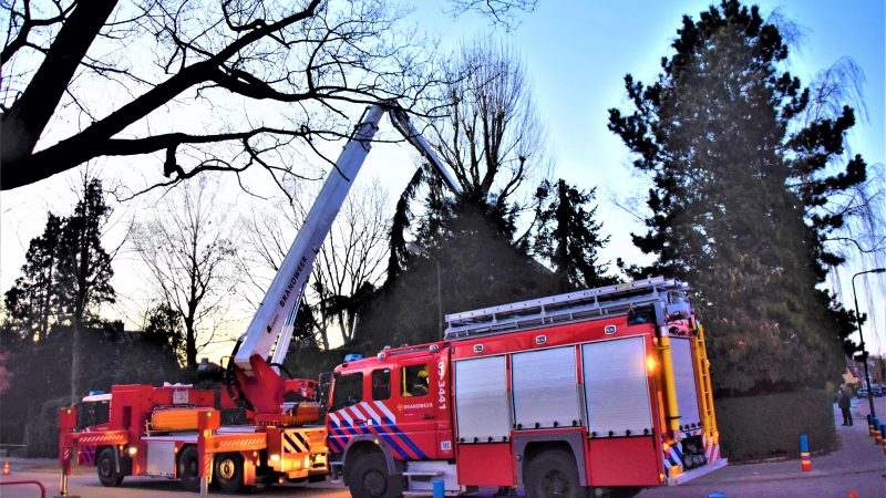 Brandweer bevrijdt spreeuw uit schoorsteen
