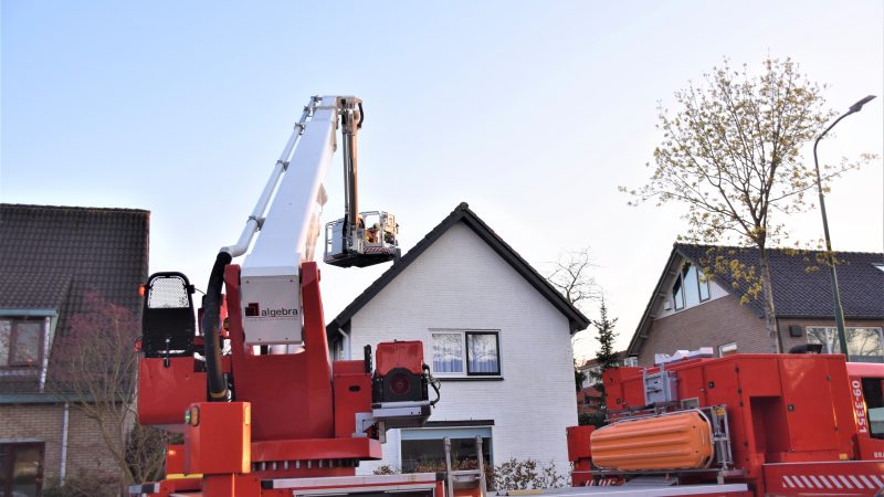 Kraai vliegt na redding vrijheid tegemoet