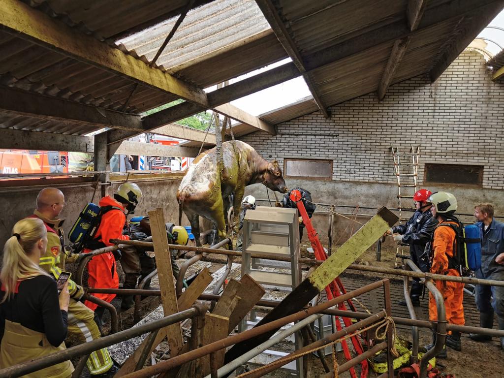 Brandweer Soesterberg bij redding dieren