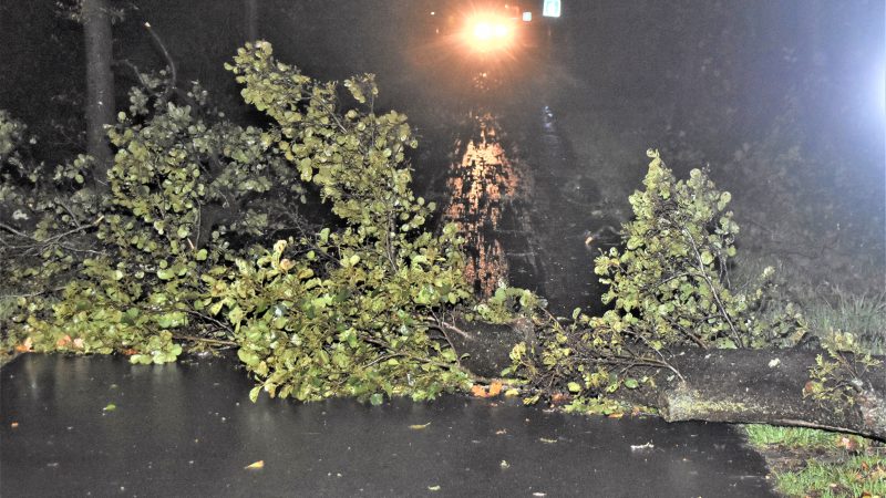 Brandweer ruimt bomen en takken op