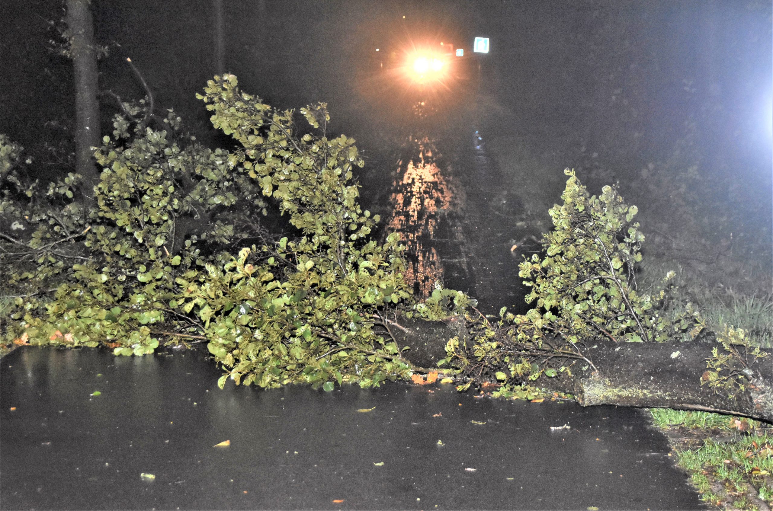 Brandweer ruimt bomen en takken op