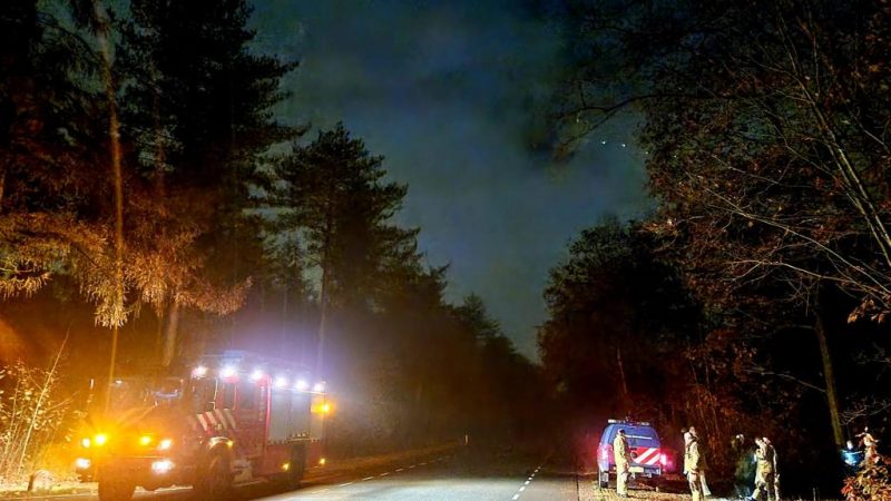 Zoektocht na melding babygeluiden in bos zonder resultaat
