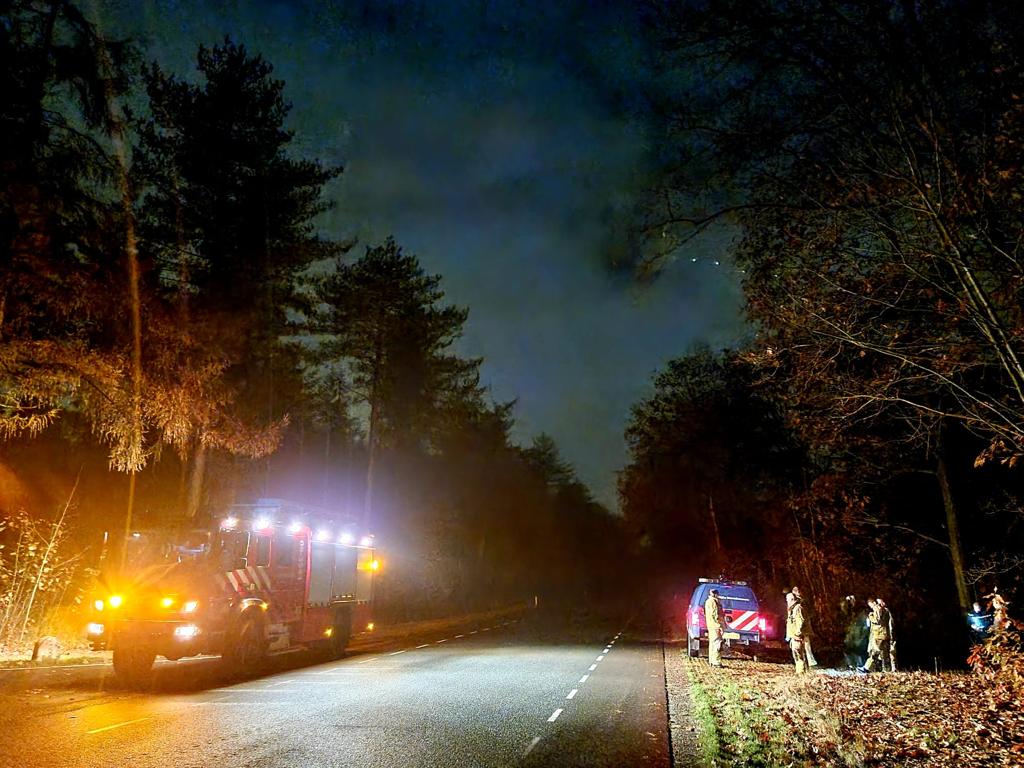 Zoektocht na melding babygeluiden in bos zonder resultaat