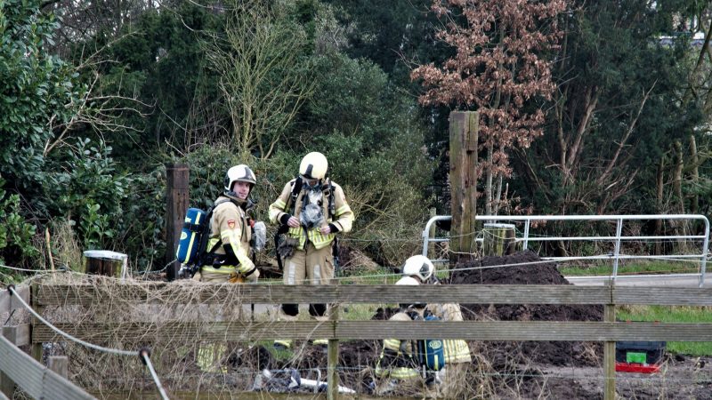 Gaslek bij planten bomen