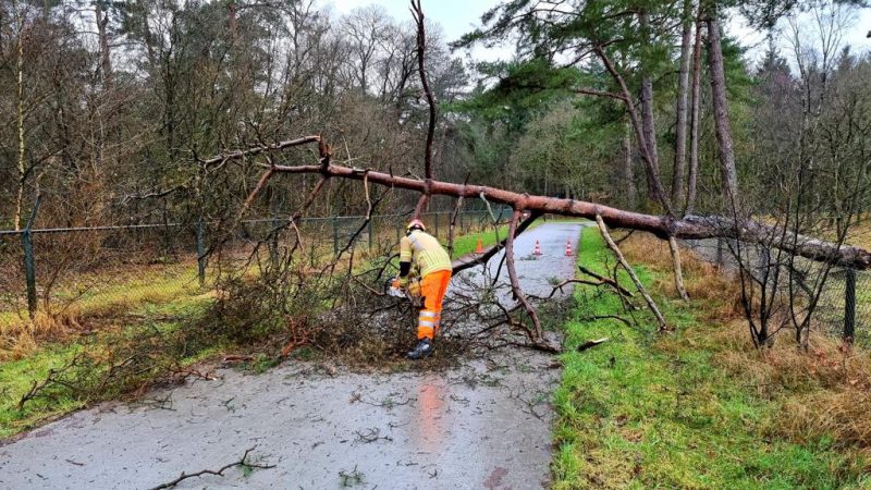 Boom valt dwars over de weg