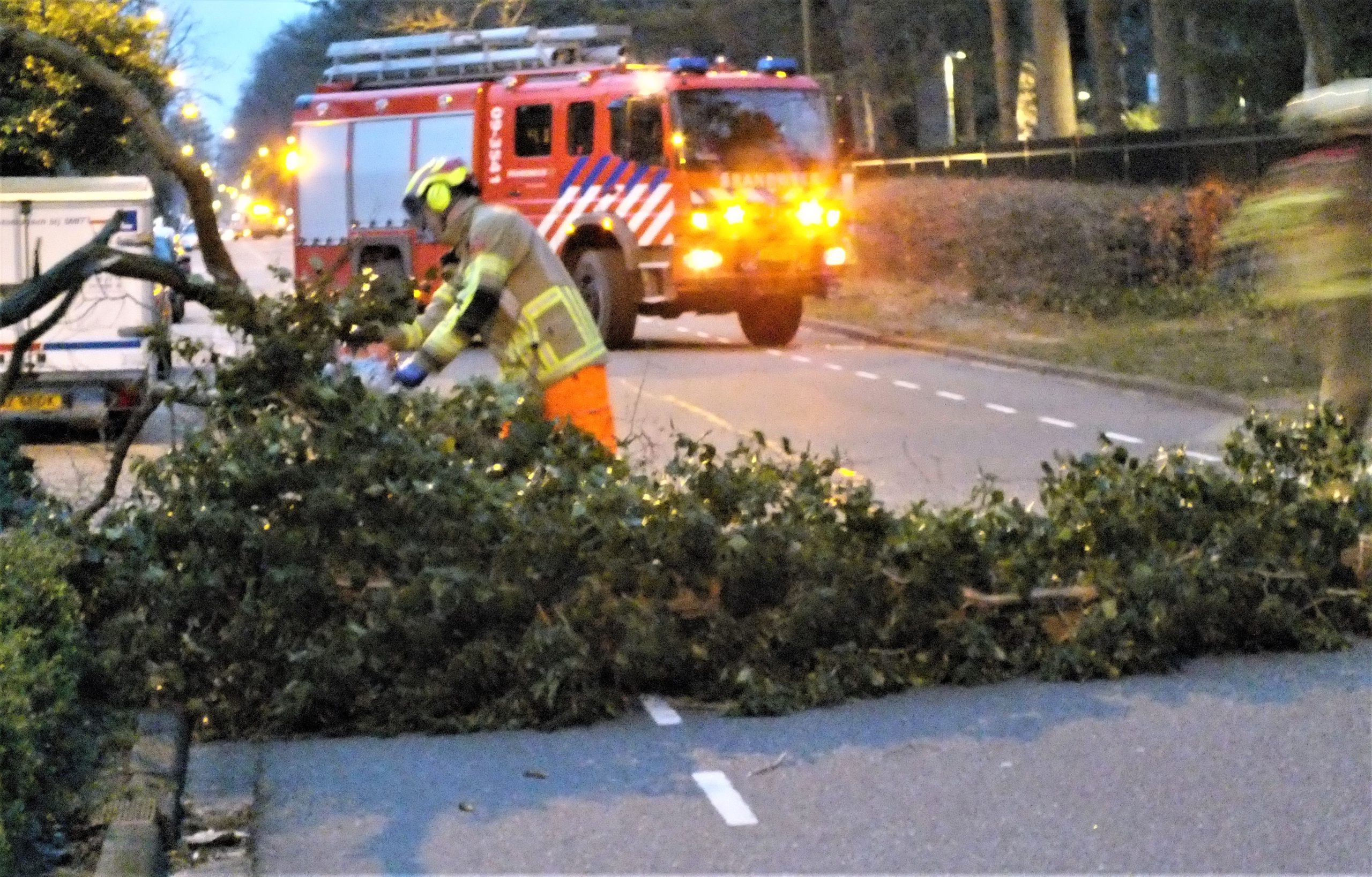 Boom omgezaagd, ongecontroleerde val voorkomen