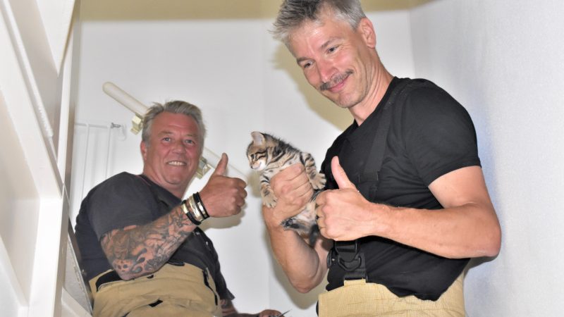Brandweer bevrijdt kitten uit schacht