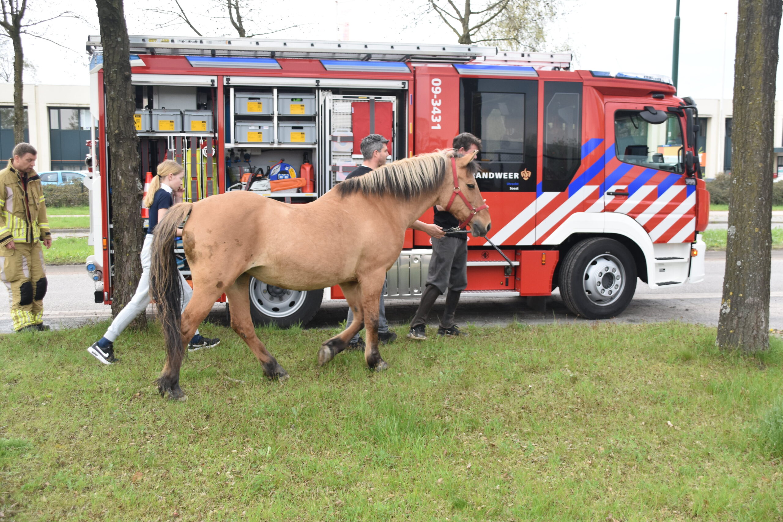 Pony door val klem in trailer
