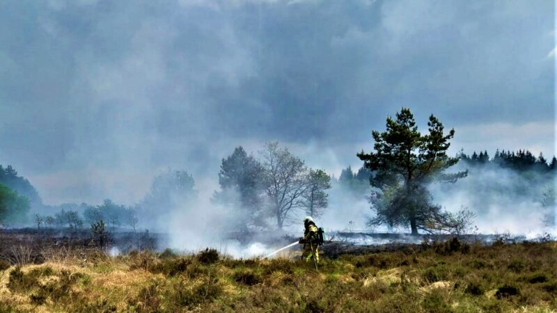 Rijtraining verandert in brand blussen