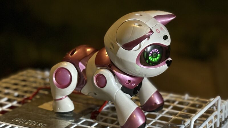 Hulpdiensten in actie voor ,redden’ speelgoedpoes/hond