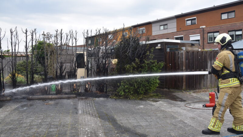 Onkruid wegbranden: coniferenhaag in brand