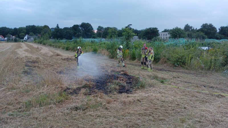 Gemaaid gras in brand