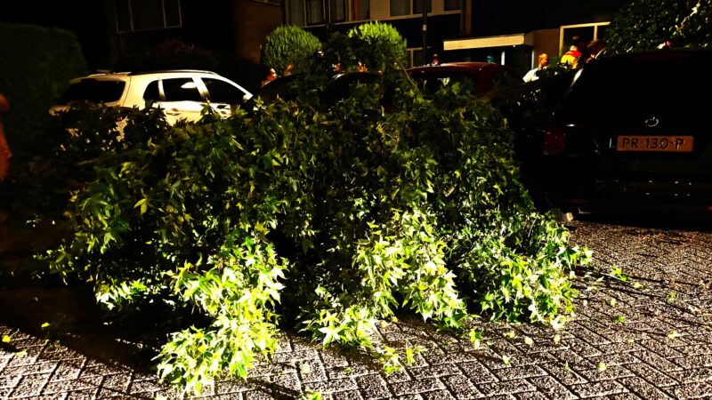 Vallende tak beschadigt auto’s