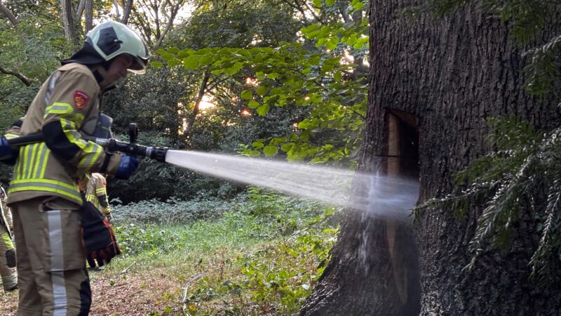 Twee keer brand in oude holle eik