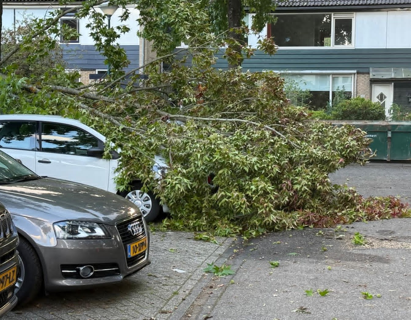 Twee auto’s beschadigd door vallende takken