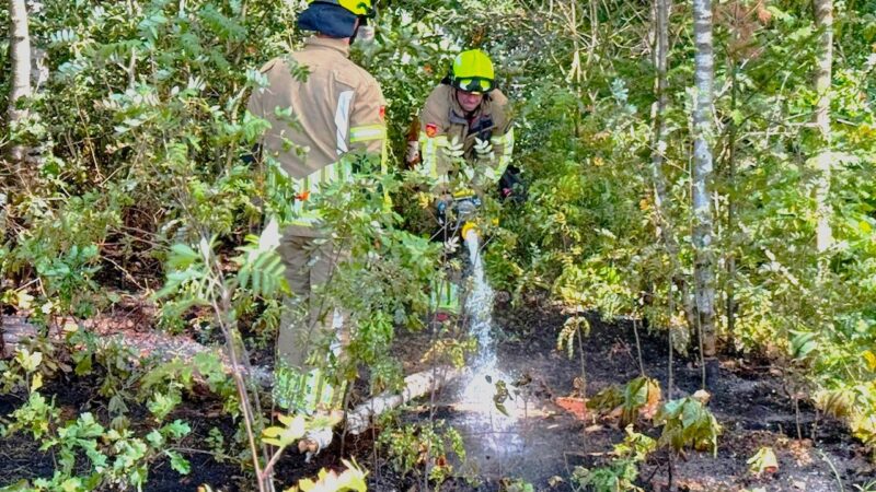 Bospad te smal voor brandweerauto